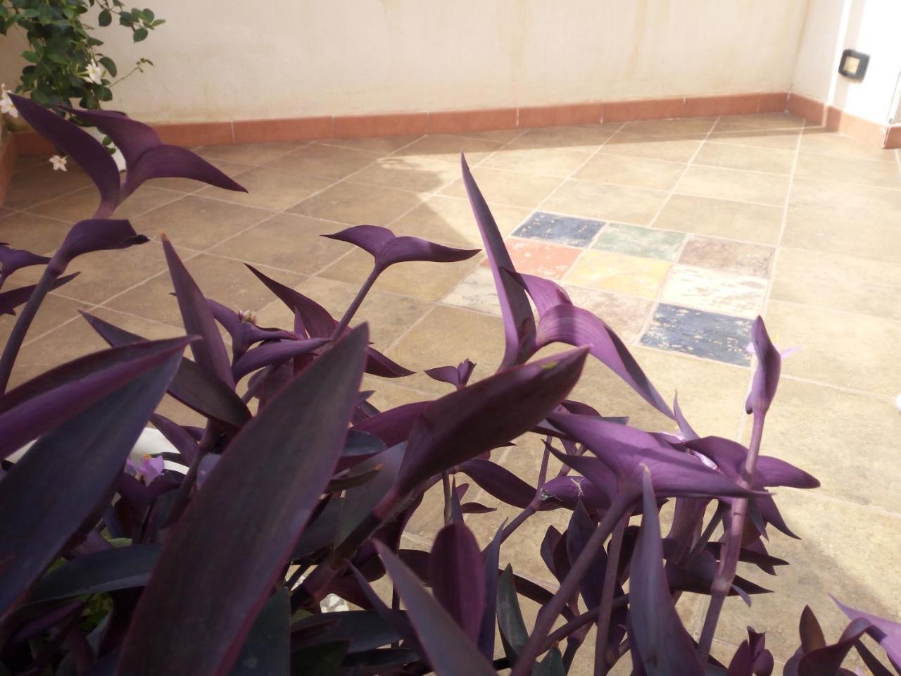 B&B Al Centro Storico Agrigento Kültér fotó